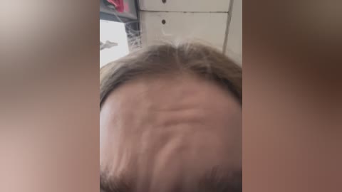 kittecat free recording from 