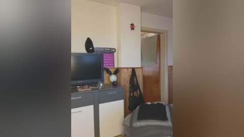 cc_uncensored free recording from 2025-04-12 17:35:00