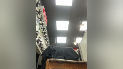 alishaofthorns free recording from 2026-02-12 00:10:00