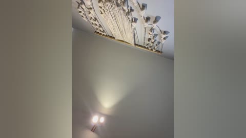 irish_collins free recording from 2025-12-16 00:15:00