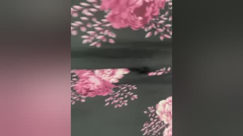 savi_sl free recording from 2025-12-15 00:12:00