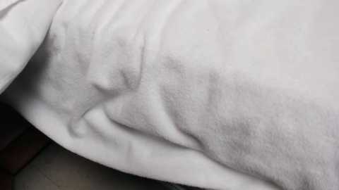 jannemary free recording from 2025-12-15 01:20:00