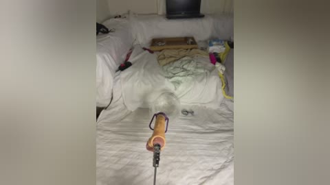 ozge_sluttyscream69 free recording from 2025-12-15 04:04:00