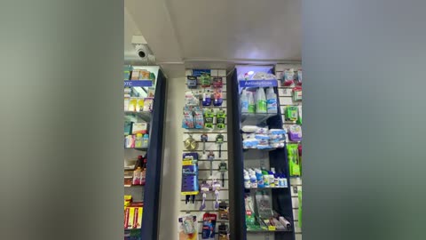 roouse free recording from 2025-12-15 01:22:00