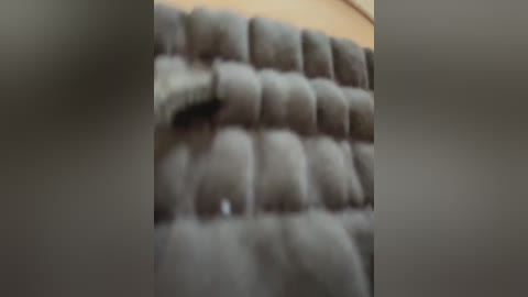 bambi_lu free recording from 2025-12-18 00:13:00