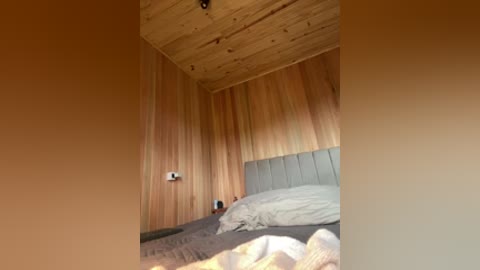 alicestone19 free recording from 2026-02-12 00:50:00