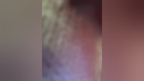 eveangelll free recording from 2026-02-12 00:50:00