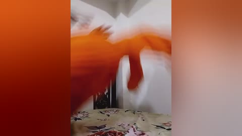 your_rasmalai free recording from 2026-02-12 00:50:00