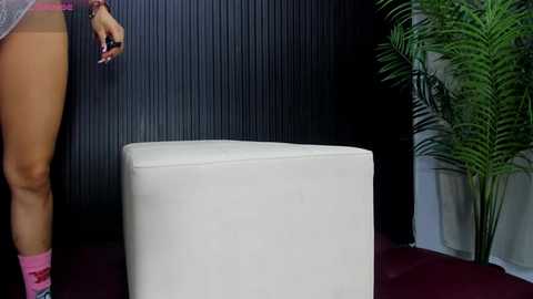 ruin_destruction free recording from 2026-02-12 00:50:00