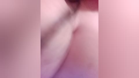 _sahar free recording from 2026-02-12 00:10:00