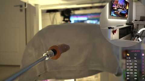 american__dream free recording from 2026-02-12 00:50:00