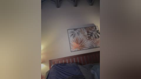 miamellycious free recording from 2026-02-12 00:50:00