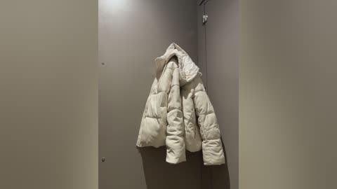 sashacatt free recording from 2026-02-12 00:50:00