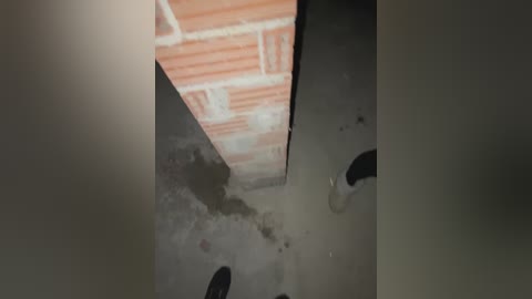 alyssafoxx_ free recording from 2026-02-12 00:10:00