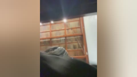 sheenabrooke free recording from 2026-02-12 00:10:00