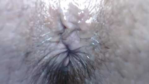 sweetmuslim01 free recording from 2026-02-12 00:50:00