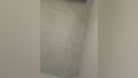 aly_golden_ free recording from 2026-02-13 00:00:00