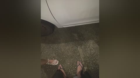 joel852 free recording from 2026-02-12 06:39:00