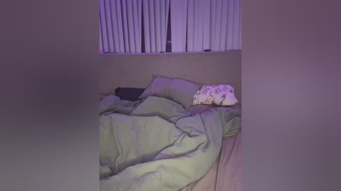 leagambit__ free recording from 2026-02-12 00:50:00