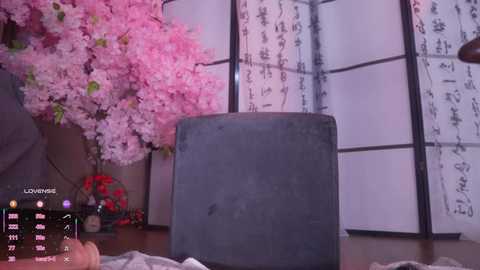 marry_cordy free recording from 2026-02-12 00:50:00