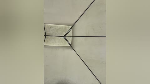 natalia_vidal free recording from 2026-02-12 00:50:00