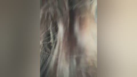 ruslanaxx free recording from 2026-02-12 00:10:00