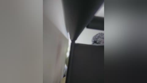 saorii_kiido free recording from 2026-02-12 06:39:00