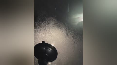 alyssafoxx_ free recording from 2026-02-12 00:10:00