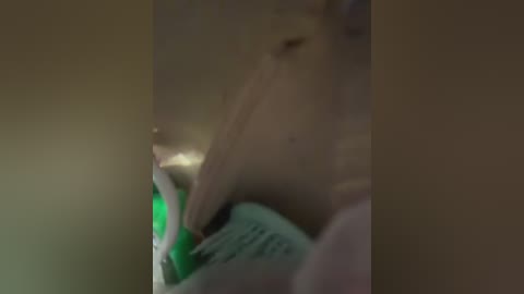 angelinateller free recording from 2026-02-12 05:43:00