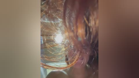 ariiel_ free recording from 2026-02-12 19:06:00