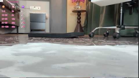 ayw_21 free recording from 2026-02-12 17:22:00