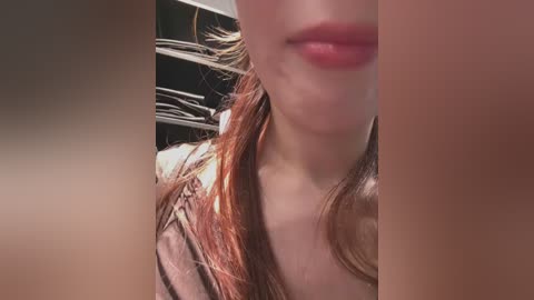 lillukatten free recording from 2026-02-12 00:50:00