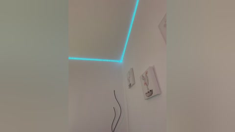 megan_lu2 free recording from 2026-02-12 07:09:00