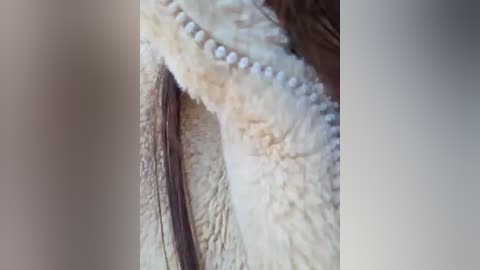 sexy7883 free recording from 2026-02-12 11:33:00